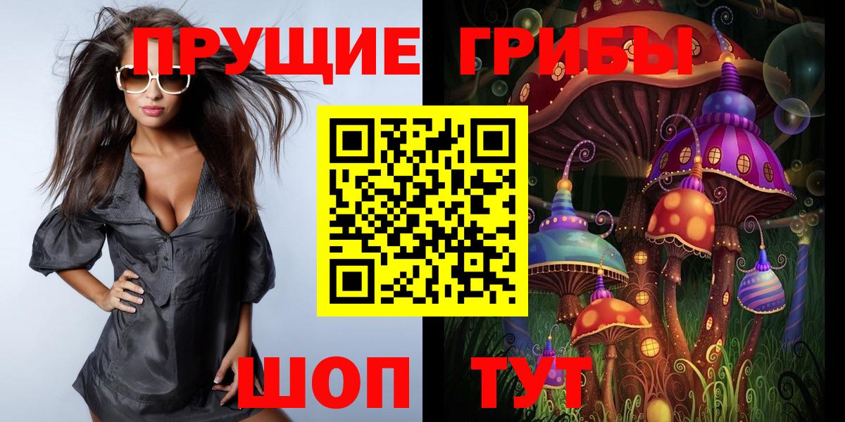 Галлюциногенные грибы мицелий  Вход с VPN  Асино  Псилоцибиновые грибы GOLDEN TEACHER 